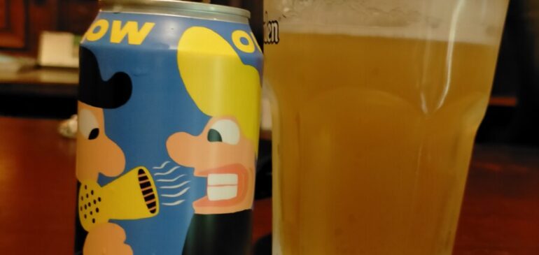 Mikkeller Blow Out IPA